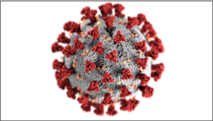 Figure 10.1: The illustration, created at the Centers for Disease Control and Prevention (CDC)
