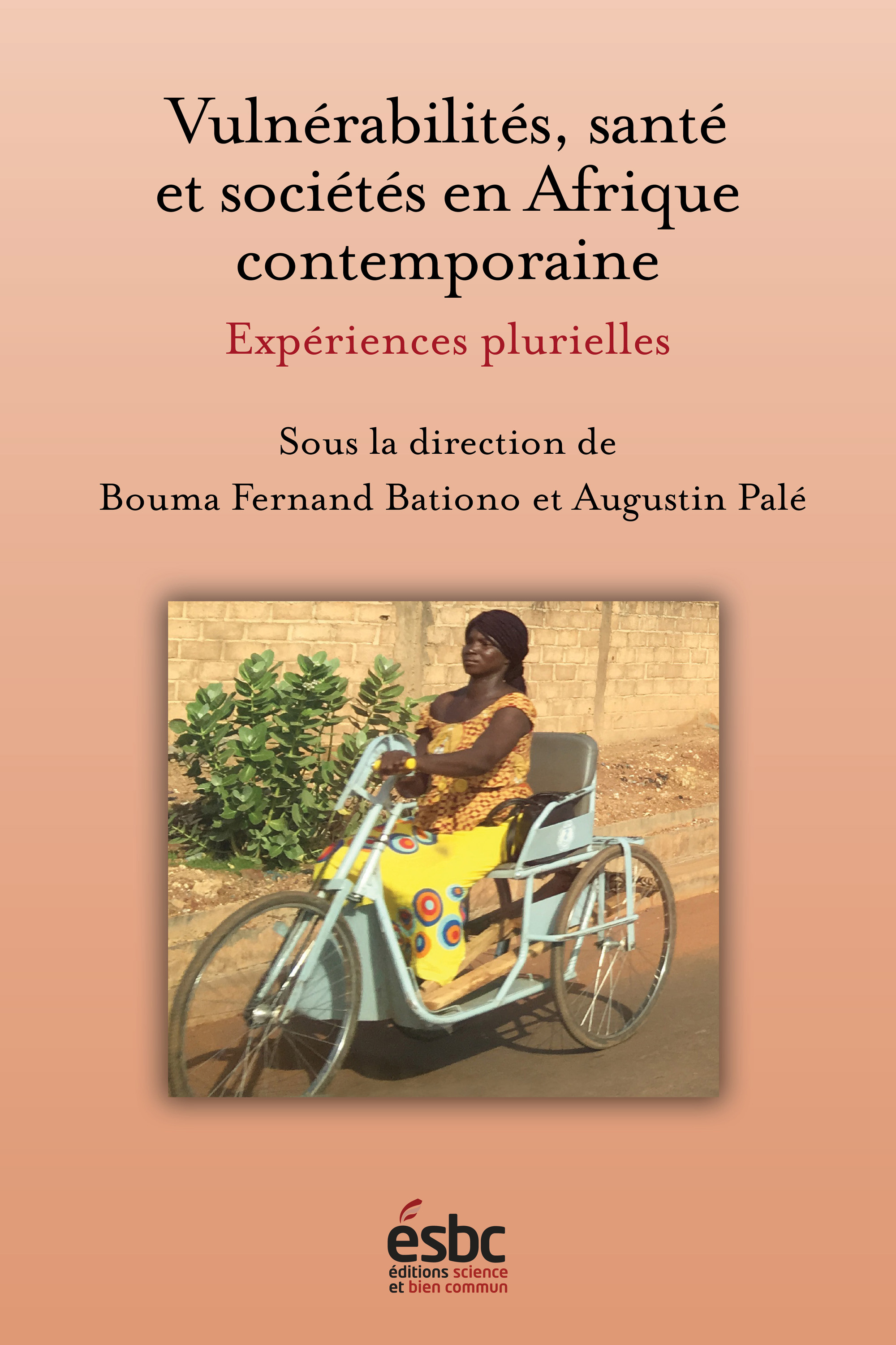 Vulnérabilités, santé et sociétés en Afrique contemporaine