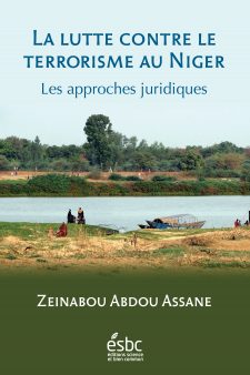 La lutte contre le terrorisme au Niger. Les approches juridiques book cover